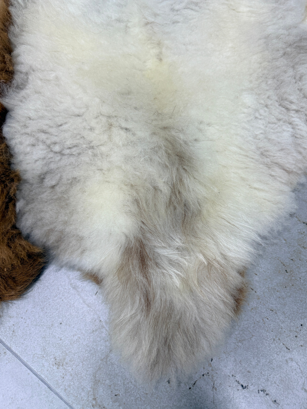 Ковер шкура натуральная овчина Меховой