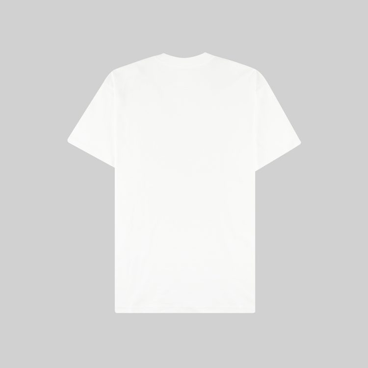 Футболка мужская Carhartt WIP Script артикул:I029915 - купить в магазине Дайс