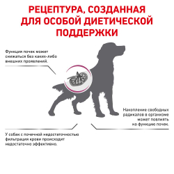 Royal Canin VET Early Renal - диета для собак при ранней стадии почечной недостаточности