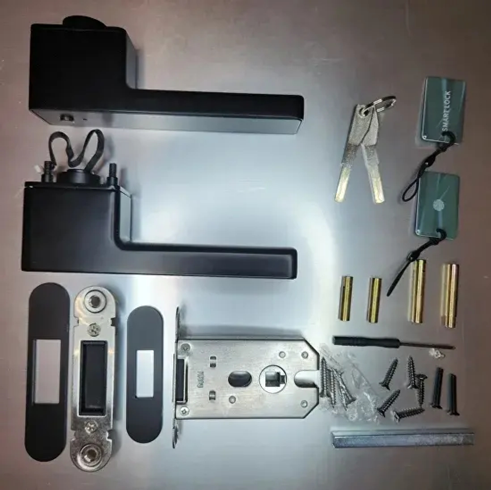 Dircode P30 электронная ручка