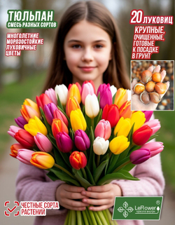 Тюльпан Луковицы неочищенные, Микс сортов, 20шт+