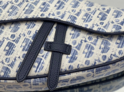 Christian Dior Saddle 26 cm