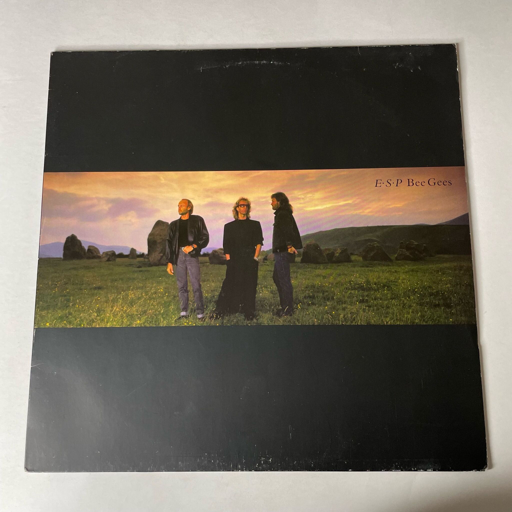 Винтажная виниловая пластинка LP Bee Gees E S P (Germany 1987) You Win Again