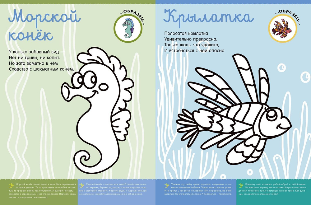 Самая первая книжка с заданиями. Кто живет в море?