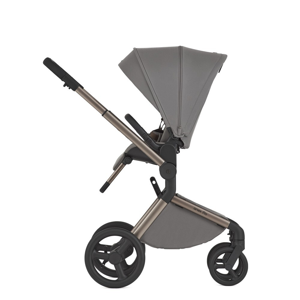 Коляска 2 в 1 ANEX Flo Charm