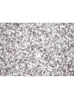 Жидкие обои , бордовый , 1кг.