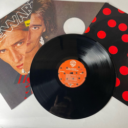 Винтажная виниловая пластинка LP Rod Stewart Foolish Behaviour (Германия 1980) (С Плакатом)
