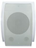 Громкоговоритель TSo-SW10b