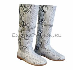 Сапоги из кожи питона SH-104