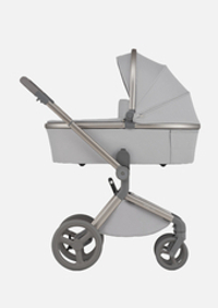 Anex Детская коляска Flo 2 в 1 Frossy