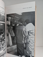 Ветка сакуры