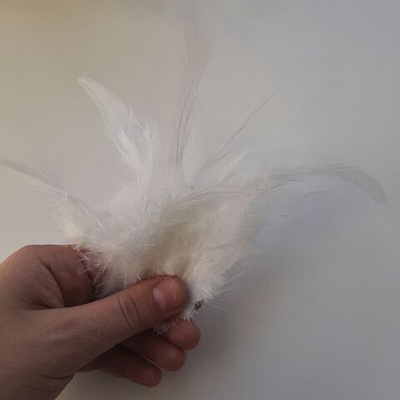 Перья петуха белые 2 сорт 20 шт.