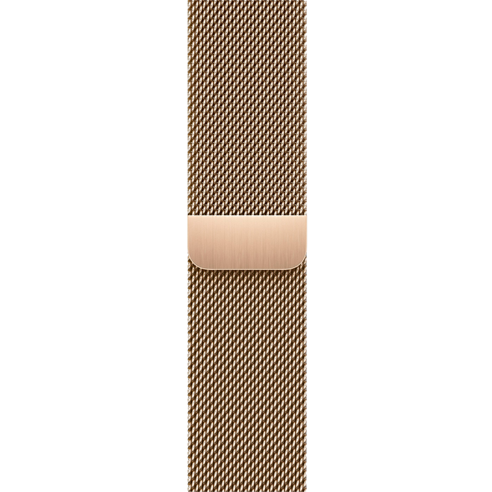 Умные часы Apple Watch Series 9 GPS + Cellular, 45mm, Stainless Steel Case with Gold Milanese Loop (Золотистый)