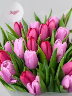 Тюльпаны микс