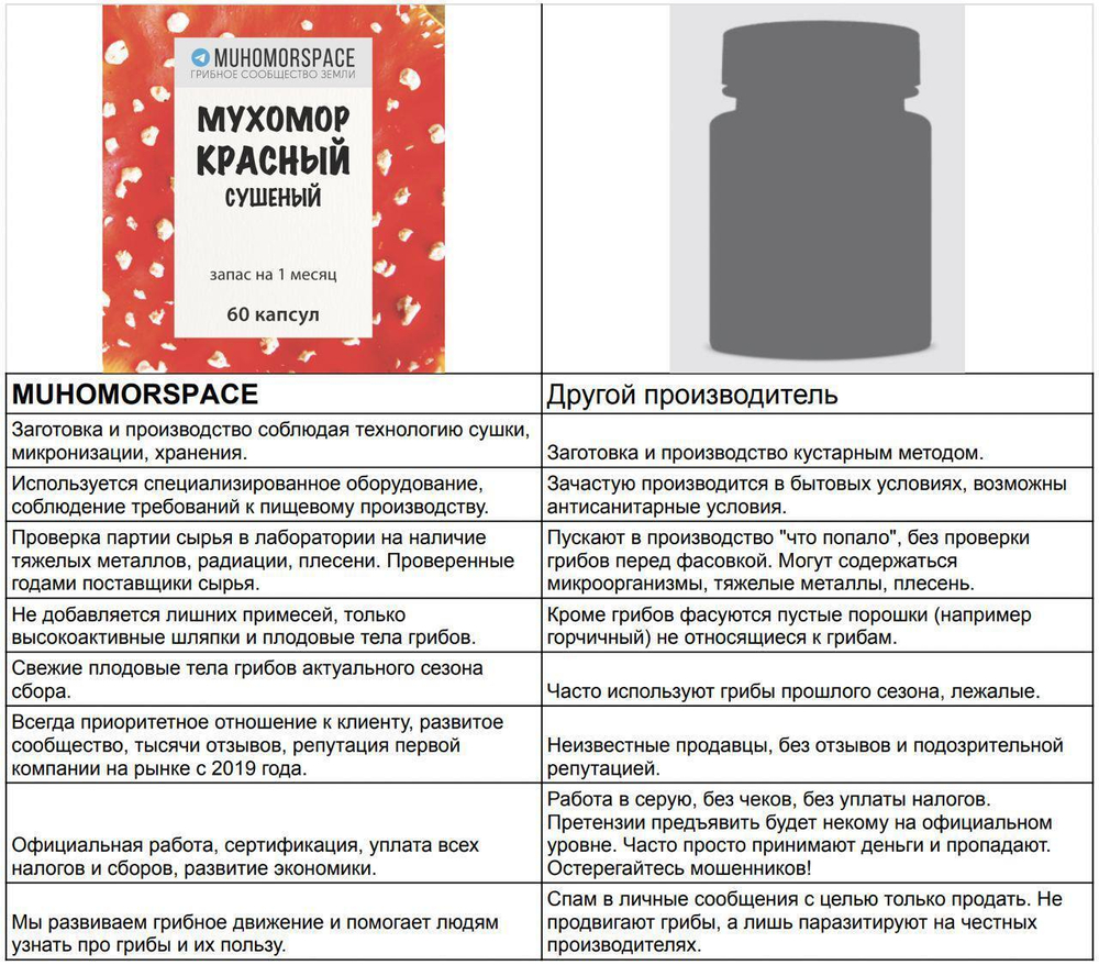 Мухомор пантерный шляпки, 100 грамм. Сбор 2023 г.