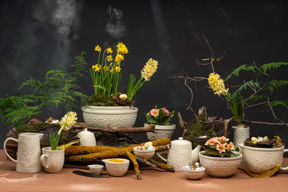 Миска для смешивания birds of paradise, 1,5 л, кремовая