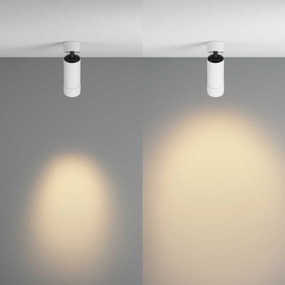 Потолочный светильник Maytoni Technical C055CL-L12W2.7K-Z-W