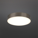 Потолочный светодиодный светильник Aployt Evon APL.0114.19.24