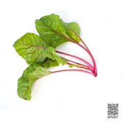 Чарли F1 семена мангольда (Rijk Zwaan / Райк Цваан)