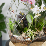 Флорариум с орхидеей и водопадом Будда Фаберже