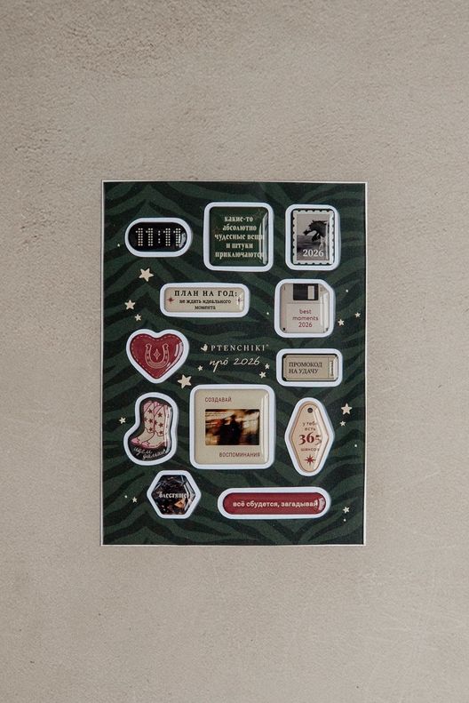 Стикеры Про 2026 / Ptenchiki