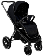 Детская коляска Pituso Mayla Lux 2 в 1 Black