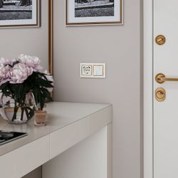 Розетка с заземлением и со шторками и 2хUSB, без рамки Werkel слоновая кость W1171503