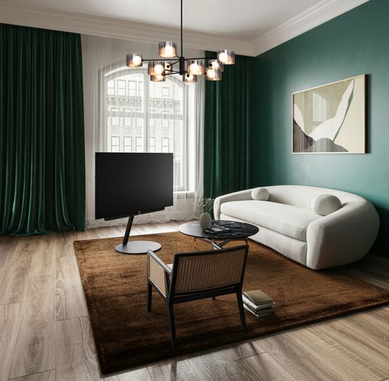 Потолочный светильник Freya FR5544CL-10B