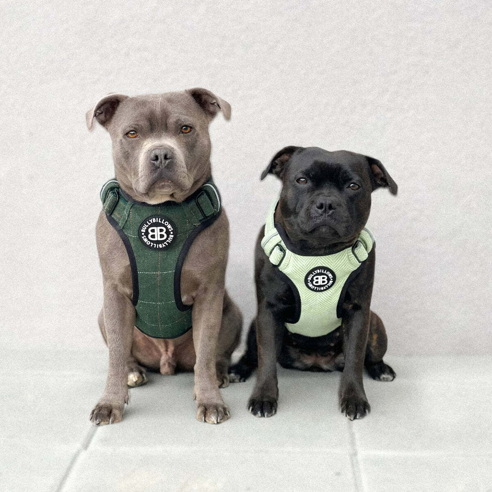 Gooby dog harness amazon new arrivals