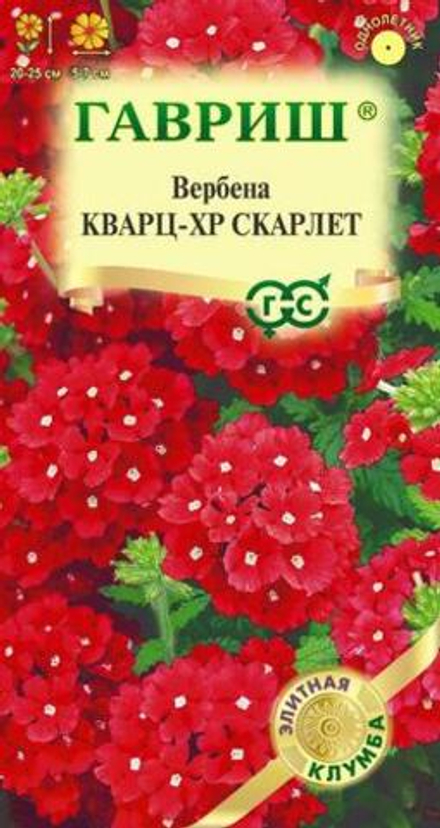 Вербена Кварц XP Скарлет, гибридная* 4 шт. (Гавриш)