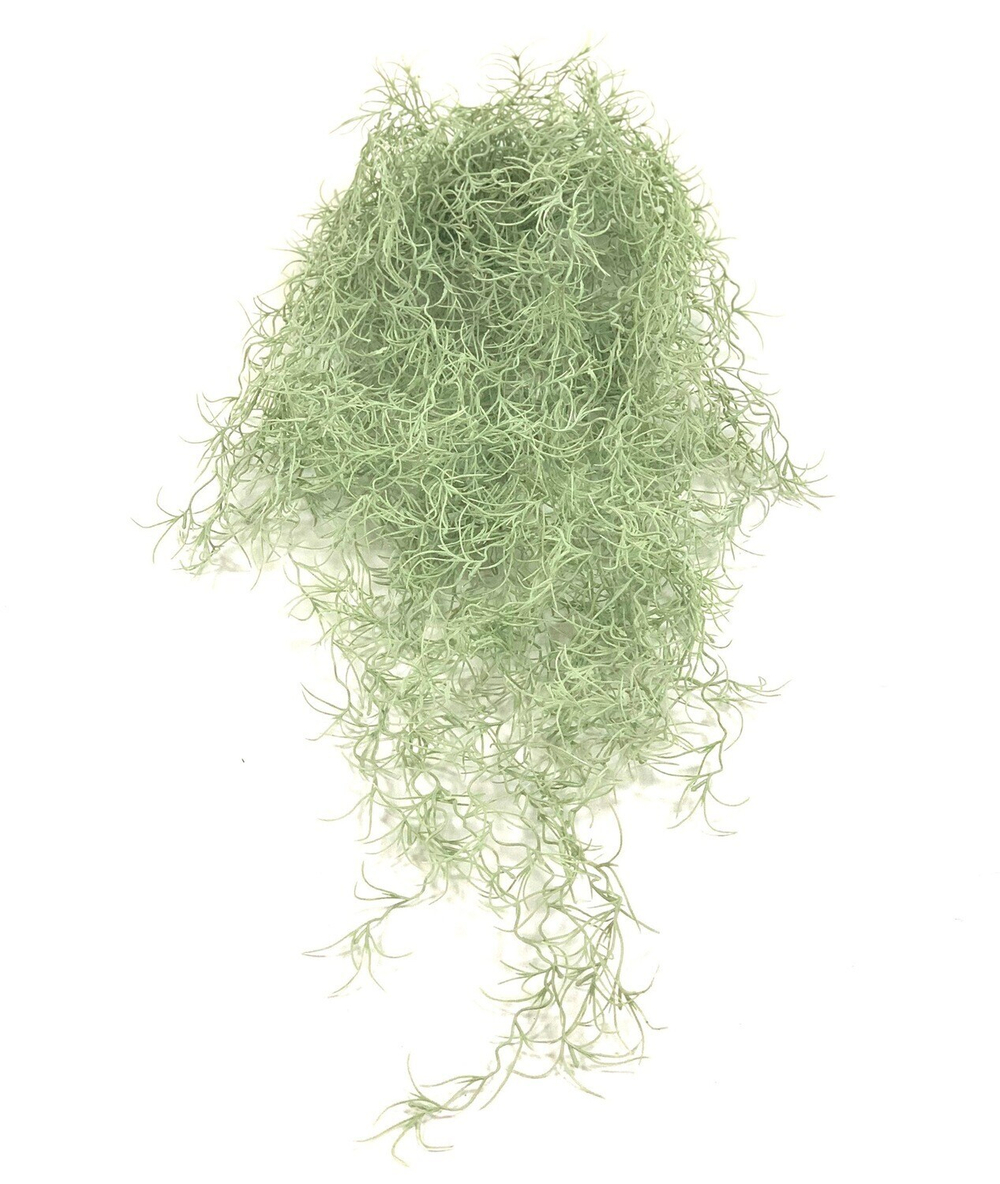 Тилландсия ампельная 65 см.