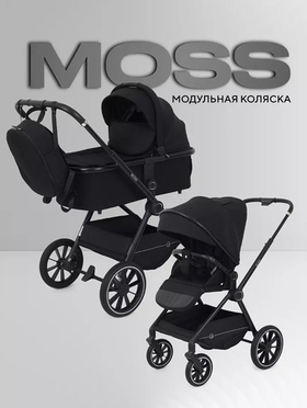 Коляска модульная Rant Moss 2025 Black
