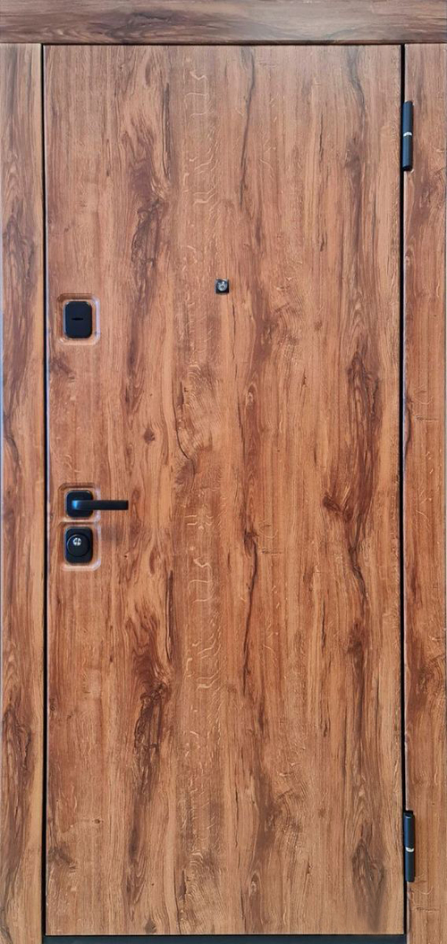 Дверь входная Лофт
