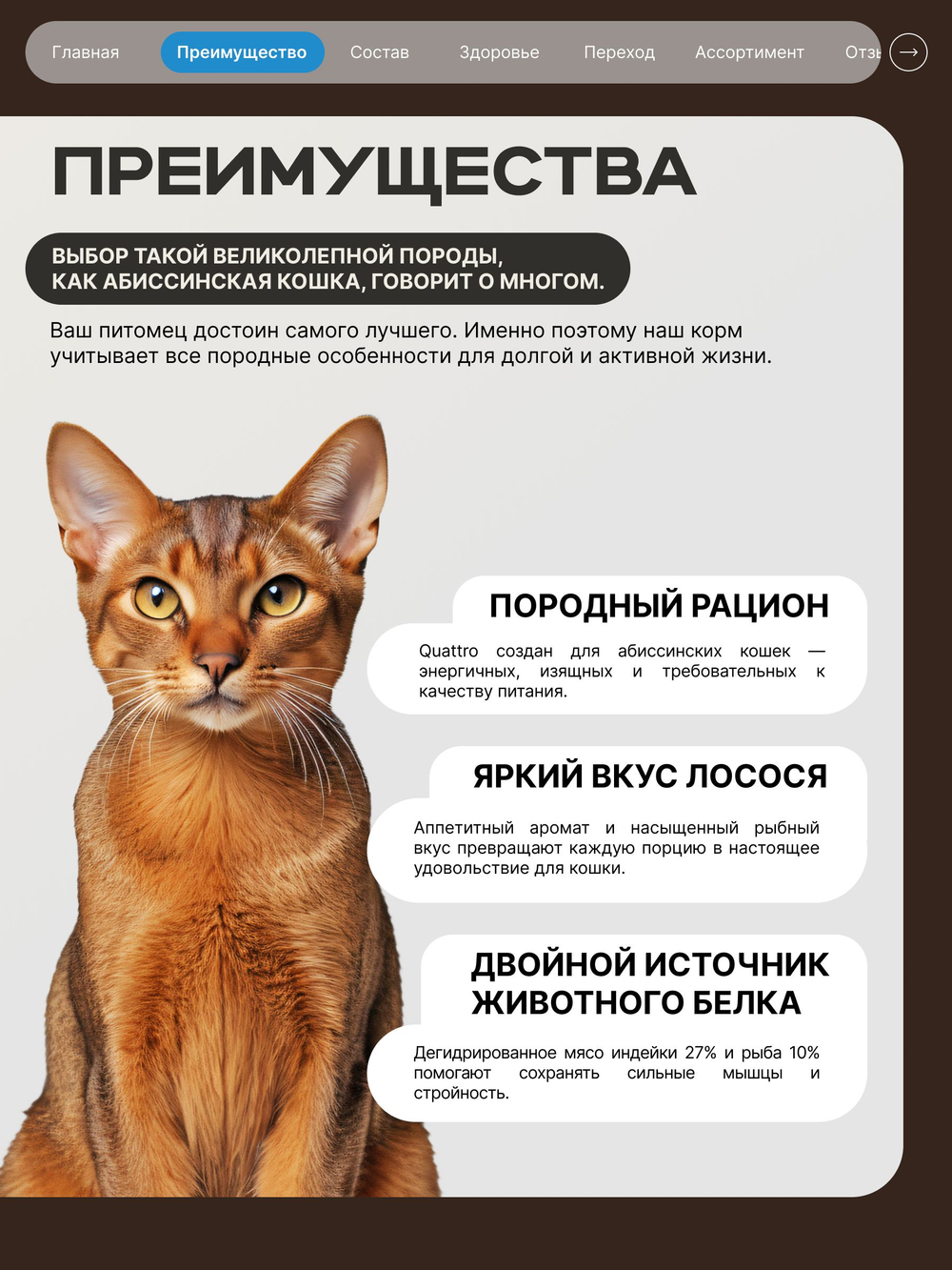 Корм сухой для взрослых кошек породы Абиссинская кошка, с лососем, 400 гр, QUATTRO