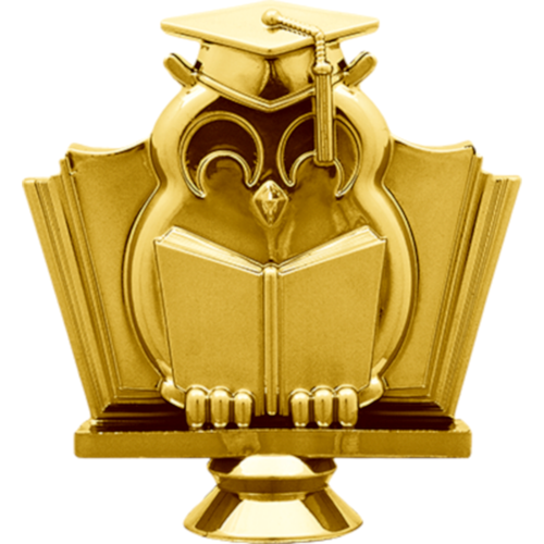 Фигура Наука 2555-100