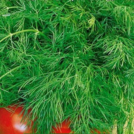 Укроп Душистый пучок 2г Б Волжский Сад