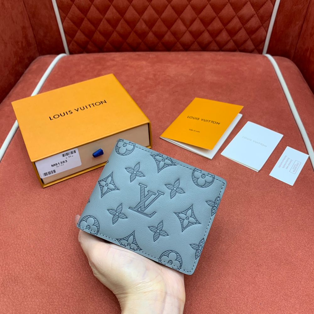 Louis Vuitton Multiple Wallet