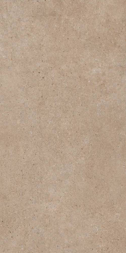 PANGEA TIERRA 60X120 REC.