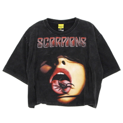 Футболка женская Scorpions
