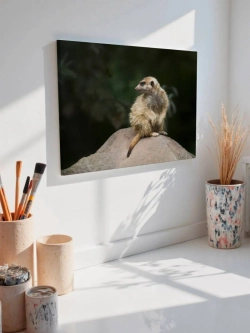 Картина на стену 40 X 50 Сурикат