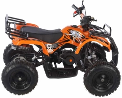 Квадроцикл MOTAX ATV Mini Grizlik X-16 (мех.)