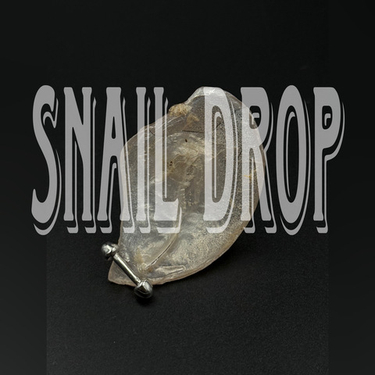 УКРАШЕНИЯ ИЗ...УЛИТКИ?