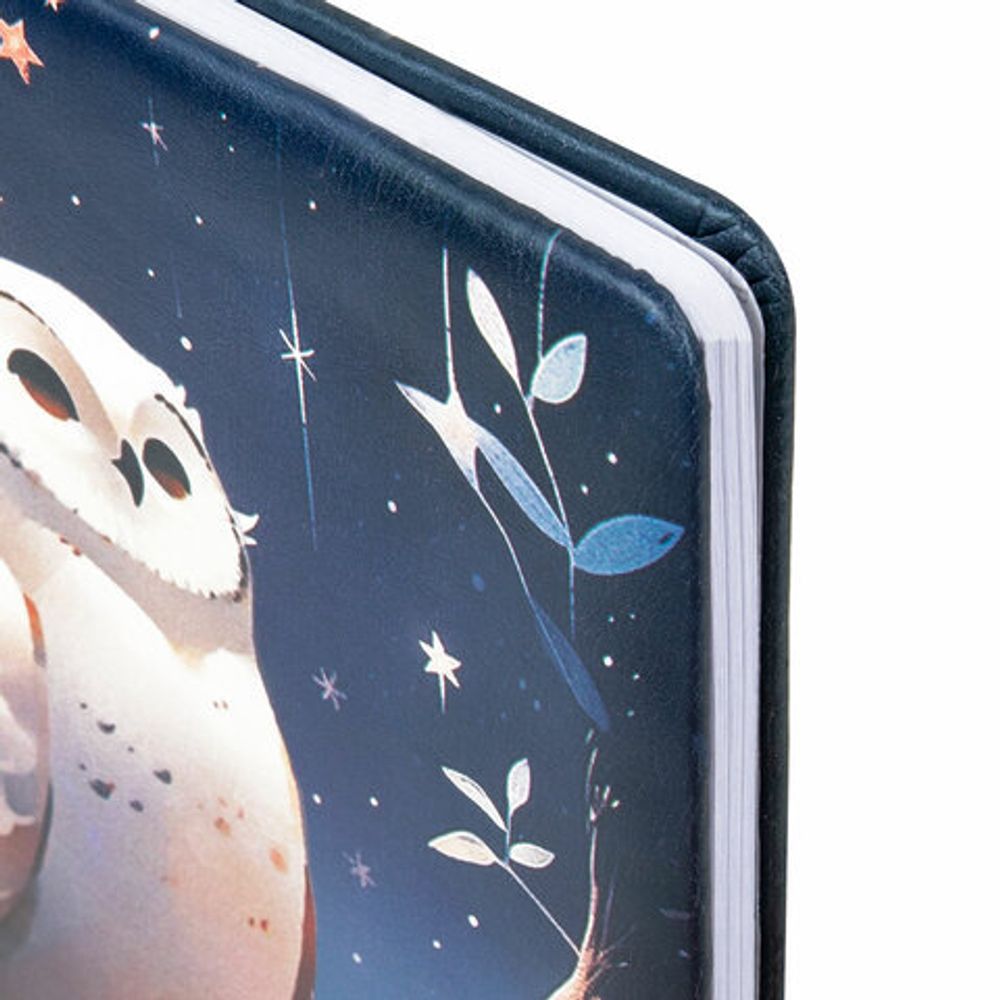 Дневник 1-11 класс 48 л., кожзам (твердая с поролоном), печать, наклейки, BRAUBERG, "Сова", 106947