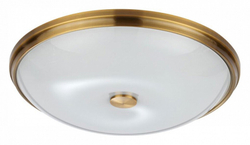 Накладной светильник Odeon Light 4956/5