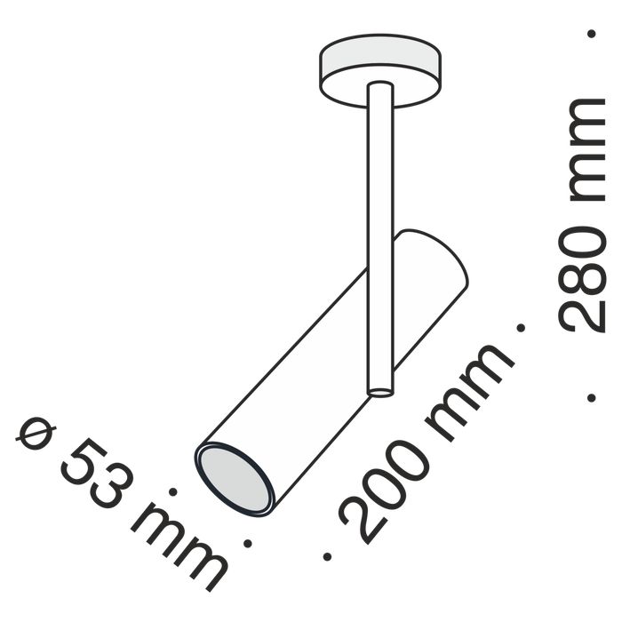 Потолочный светильник Maytoni C020CL-01W