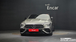 Mercedes-Benz AMG GT 4 даери 43 4MATIC+ Special Editions (07.2022)