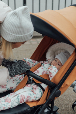 Детская прогулочная коляска Anex AIR-X toffee