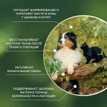 Функциональная кормовая добавка для собак и кошек ProPhyto Остеоплюс, 40 таблеток
