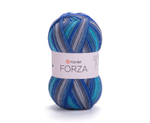 FORZA