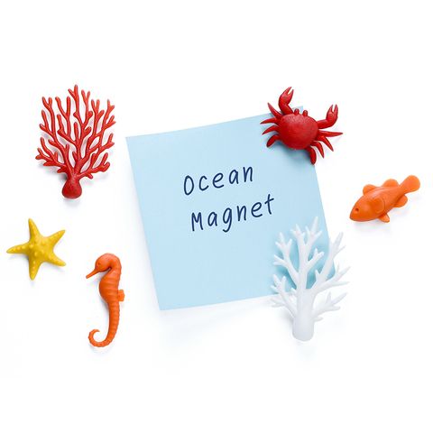 Набор магнитов ocean, 6 шт.